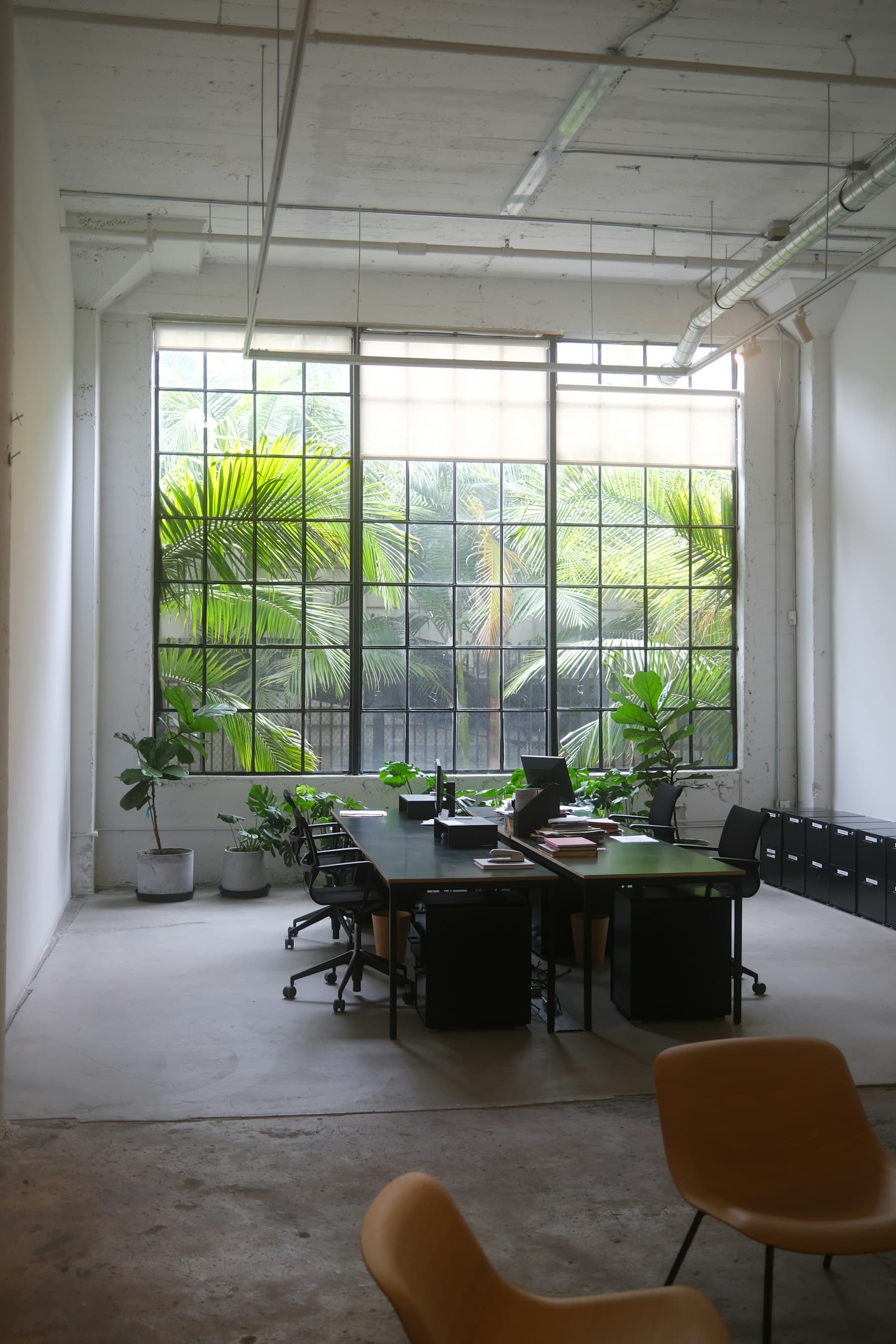 A quiet studio room with a tall window, plants and a long shared table